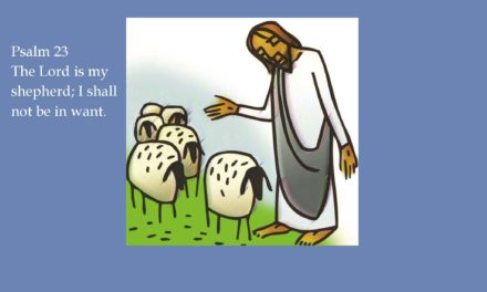 “Shepherds” — Sermon and Readings for May 7, 2017