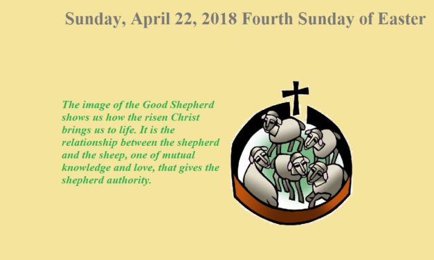 Bulletin for April 22, 2018 Fourth Sunday of Easter