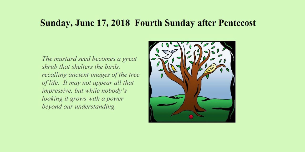 Sunday, June 17, 2018 – Fourth Sunday after Pentecost