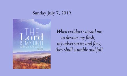 Sunday, July 7, 2019