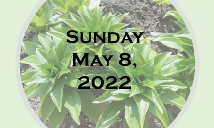 Sunday May 8, 2022