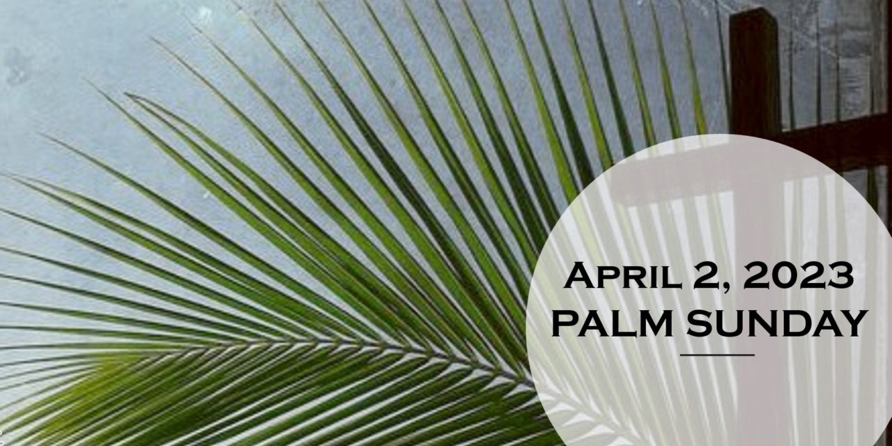 Sunday April 2, 2023 Palm/Passion Sunday Bethesda Lutheran Church of