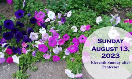 Sunday August 13, 2023 – Outdoor Worship