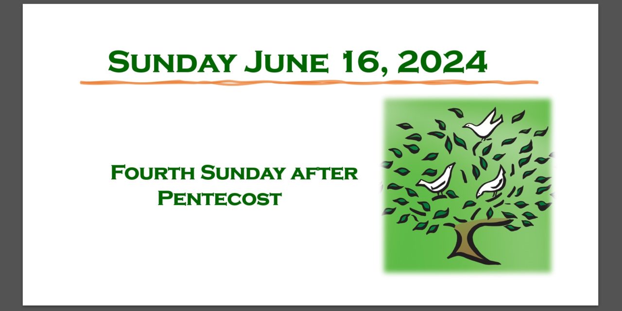 Sunday June 16, 2024~Fourth Sunday after Pentecost