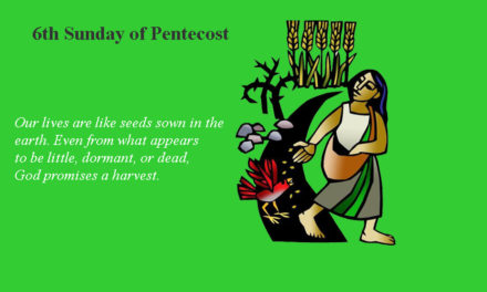 July 16, 2017 – 6th Sunday of Pentecost