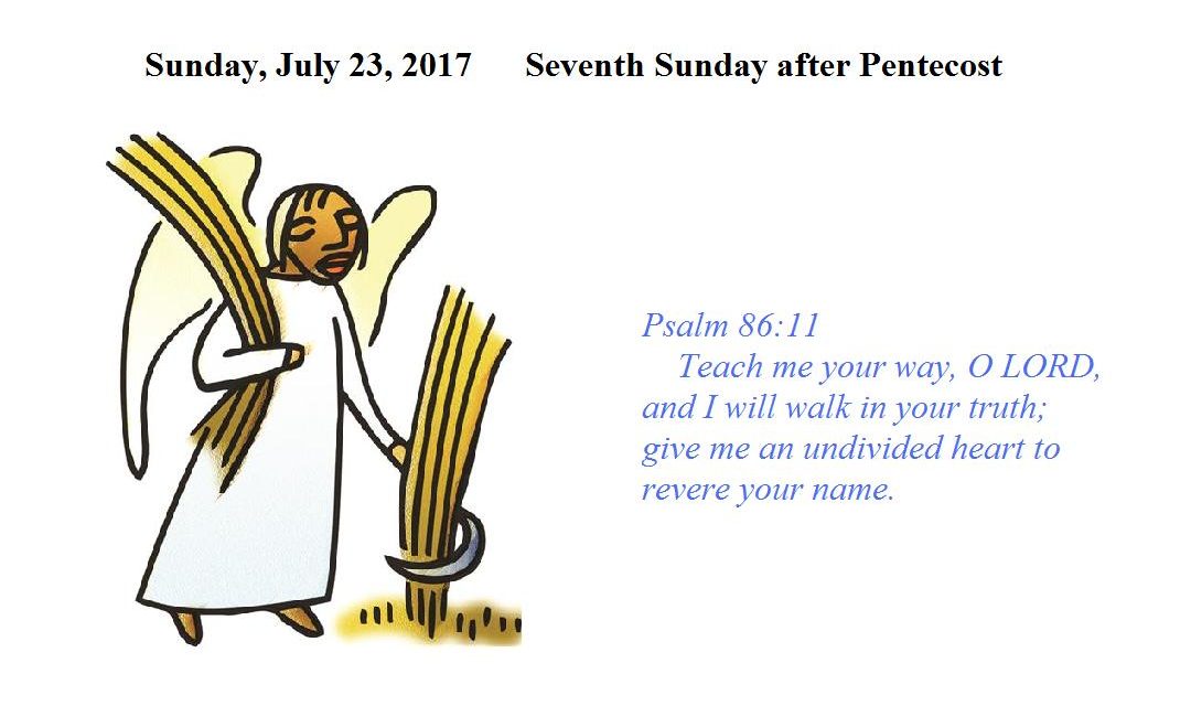 Seventh Sunday after Pentecost Bethesda Lutheran Church of Malmo, MN